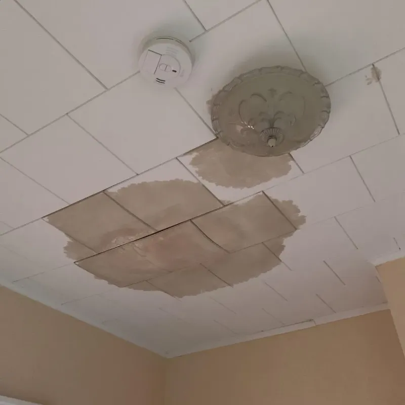 Ceiling Water Damage Repair in Mulberry, IN