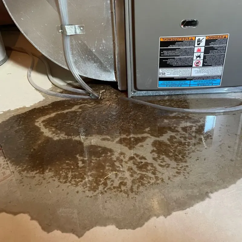 Pipe Burst and Leak Restoration in Mulberry, IN