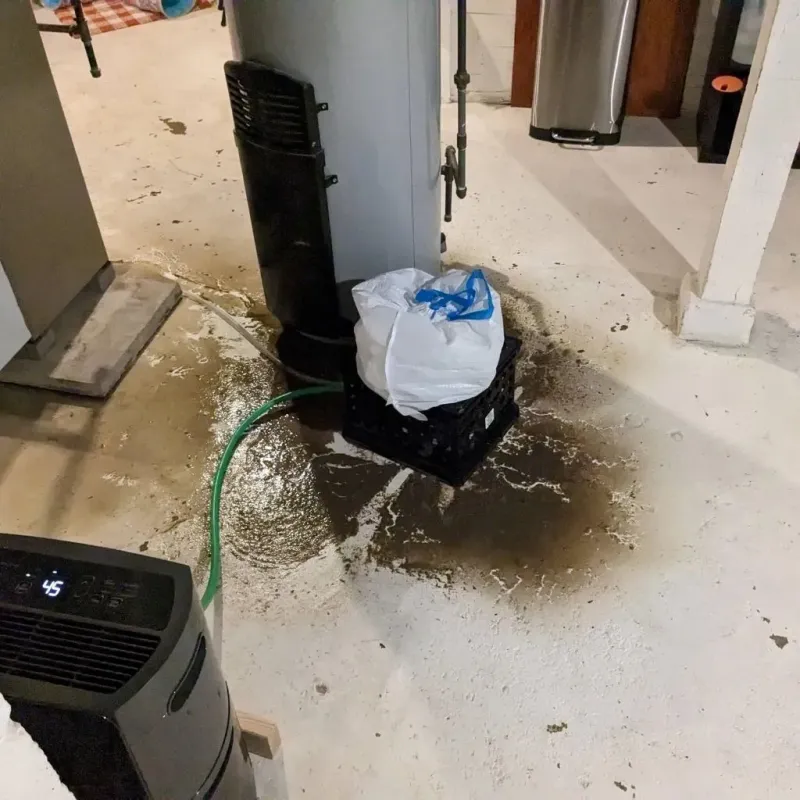 Sewage Backup Cleanup Service in Mulberry, IN